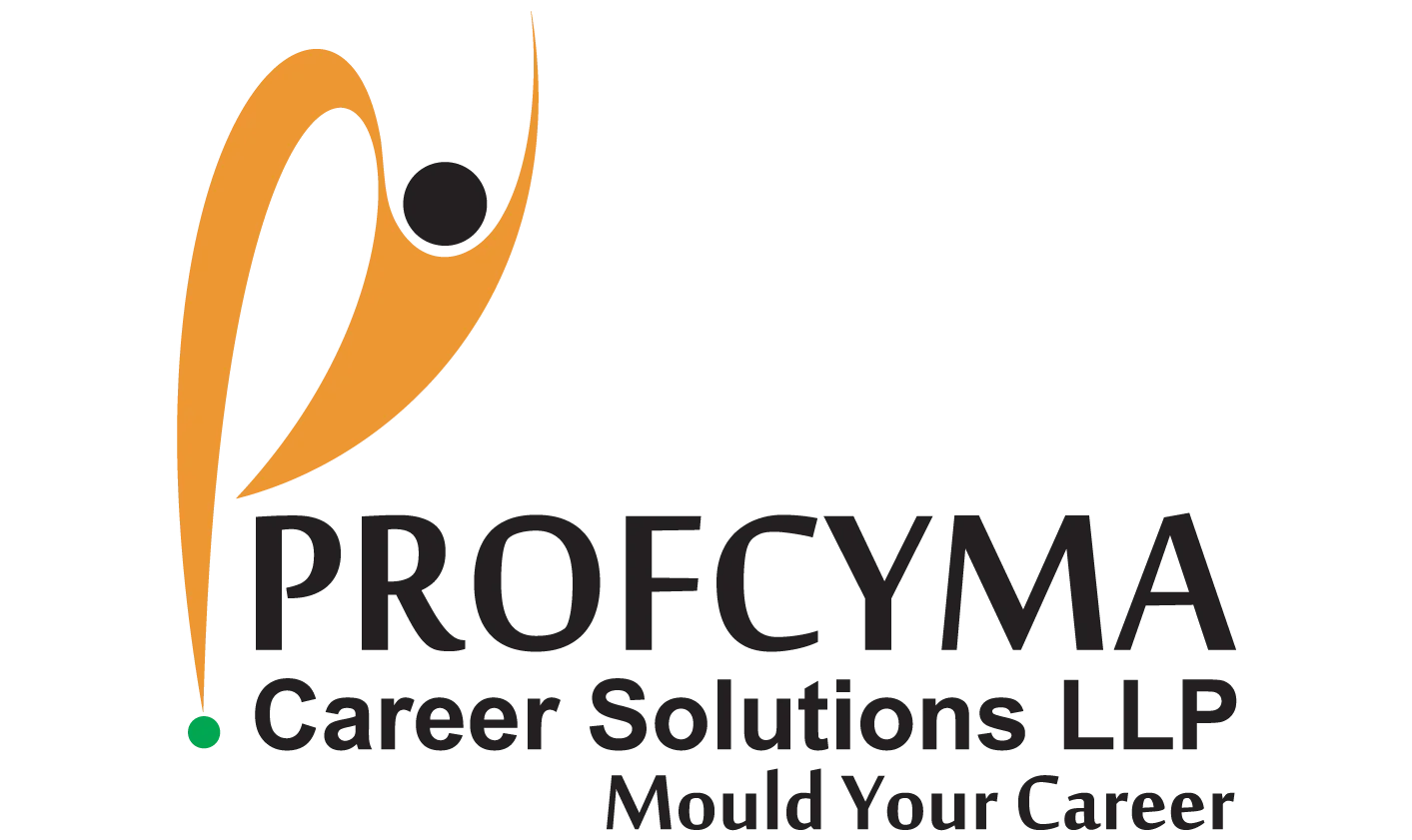 Sales Executive