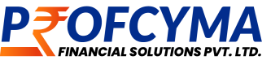 Finance Executive